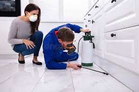 Real Estate Pest Inspections in Chetek, WI